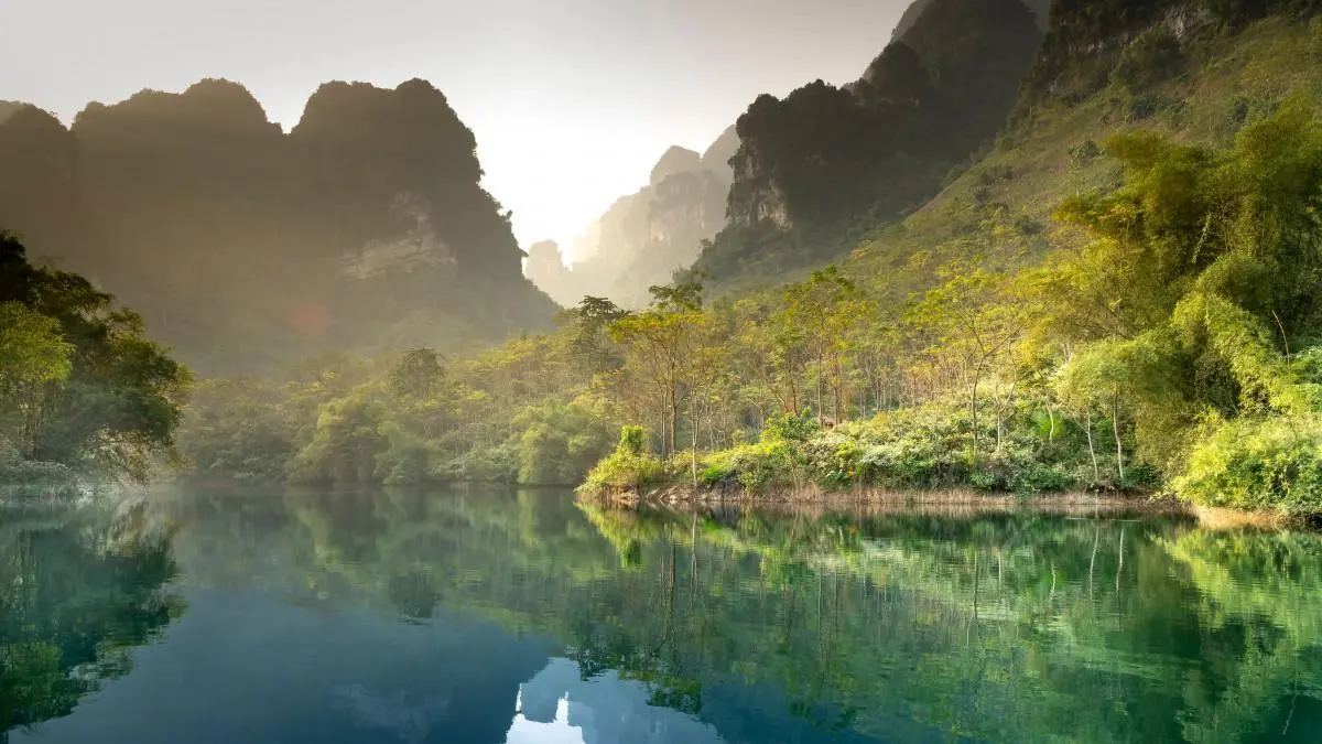 高性能高性能